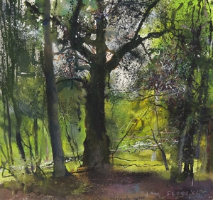 Jay Screech, Oak and Hawthorn near Hollands Wood