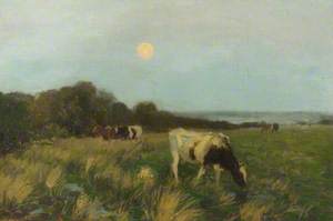 Cattle in Moonlight