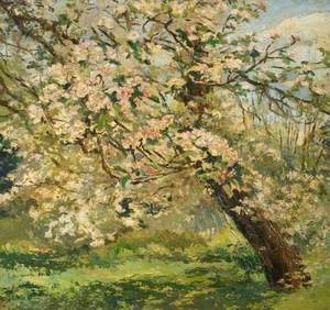Apple Blossom in the Garden at Kingsley, Bushey