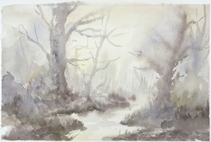 Woodland Misty Morning