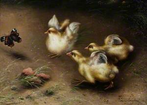 Chicks Chasing a Butterfly