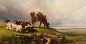 Extensive Landscape with Cows