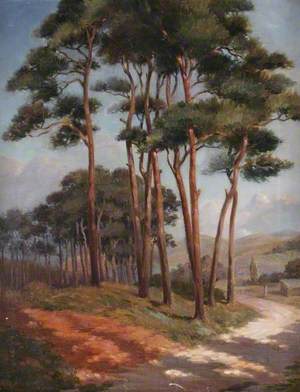 The Firs, Bewdley Hill, Worcestershire