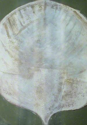 Two Vessels