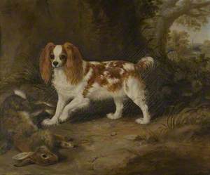 A Spaniel with a Dead Hare