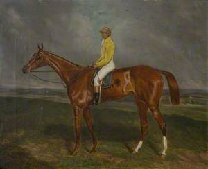 A Chestnut Racehorse with Jockey