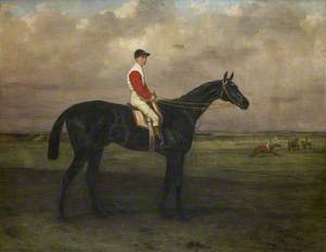 'Chippendale', a Racehorse, with Jockey up on Newmarket Racecourse