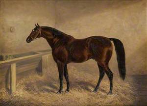 Wenlock: a Bay Racehorse, in a Loose Box