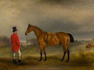 Lord Newport and Rowton, a Favourite Hunter