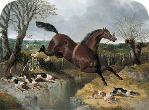 Runaway Chestnut Horse with Beagles