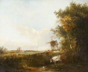 A View of Norfolk