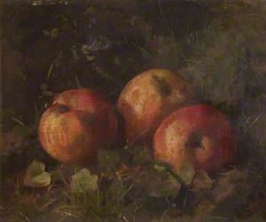 Study of Apples