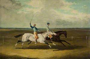 Two Racehorses – 'Grey Momus' and 'Caravan' – Racing