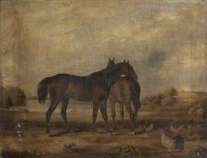 Two Horses Belonging to John Armstrong