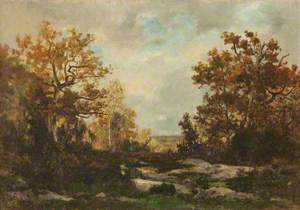 River in a Wooded Landscape