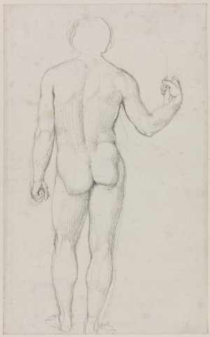 A Nude Male Figure