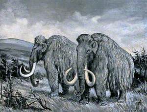 Dioramas of Pleistocene, 'Elephus primigenius' (Mammoth)