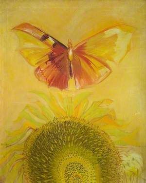 Butterfly and Sunflower