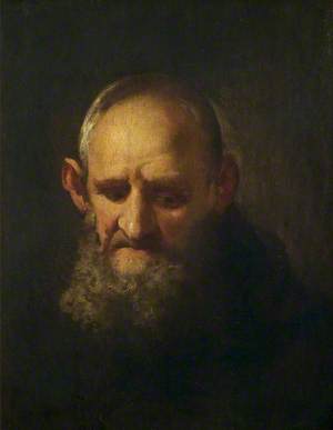 Head of a Capuchin