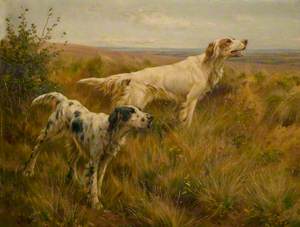 Two Setters in a Landscape