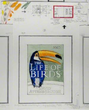 Study – David Attenborough, ‘The Life of Birds’