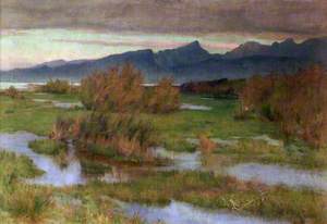 Autumn Rains, the Marshes of Florence, Italy