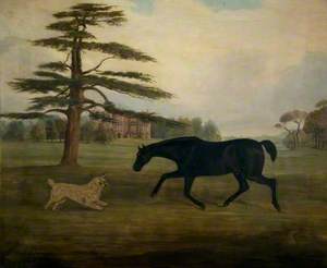 A Hunter and Dog in the Grounds of Quenby Hall, Leicestershire