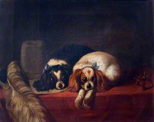 King Charles Spaniels ('The Cavalier's Pets')
