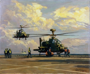 'Last Minute Check', Apache Guardians, AH 64E
