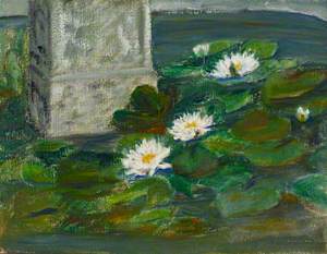 Waterlilies 