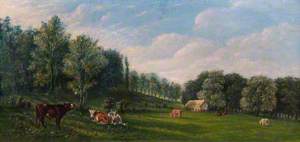 Rural Scene with Cattle