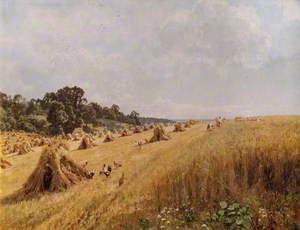 Harvest in the Home Field