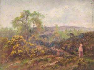 Addington Hills, Croydon, Surrey, 11 May 1892