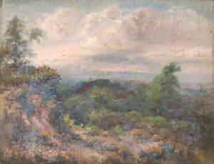 Addington Hills, Croydon, Surrey, 22 June 1892