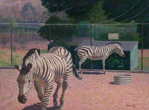 Zebras, Chessington Zoo, Surrey