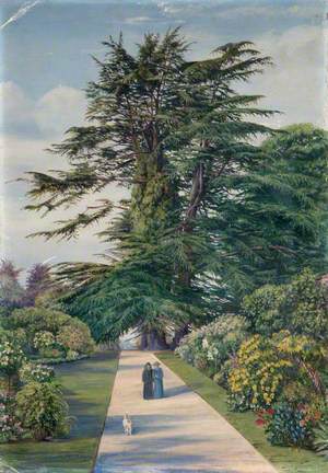 Cedar Path, Alderley Garden, Gloucestershire