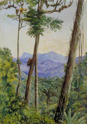 View from Mr Weilhorn's House, Petropolis, Brazil