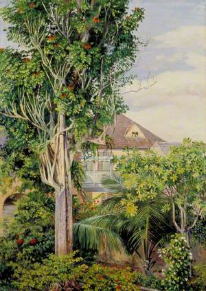 The Garden of King's House, Spanish Town, Jamaica