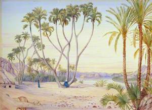 Doum and Date Palms on the Nile above Philae, Egypt