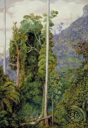 View of the Hill of Tegora, Borneo