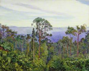 View of the Matang over the Great Swamp, Sarawak, Borneo