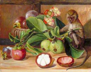 Flowers and Fruit of the Mangosteen, and a Singapore Monkey