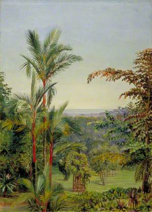 View of Singapore from Dr Little's Garden