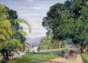 View at Peradeniya, Ceylon
