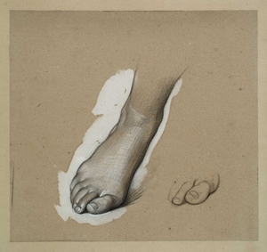 Studies of a Foot and Toes