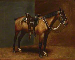Lord Roberts’ Horse, 'Bucephalus' (saddled with water bottle and a rifle in saddle holster), c.1902