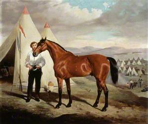 'Sir Briggs', Horse of Lord Tredegar, 17th Lancers, (ridden at Balaclava, 1854, in camp in the Crimea), 1854