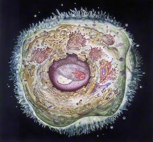 'Cell Structure' (painting of an idealised animal cell), 1986