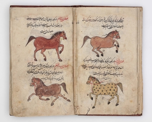 The Salihotra (Salhutar), a Manual of Horses and Horsemanship (Farasnamah)