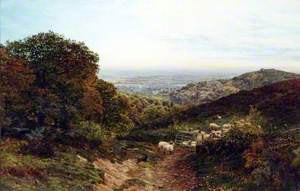 View in Surrey